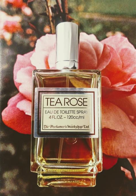 tea rose by perfumer's workshop.